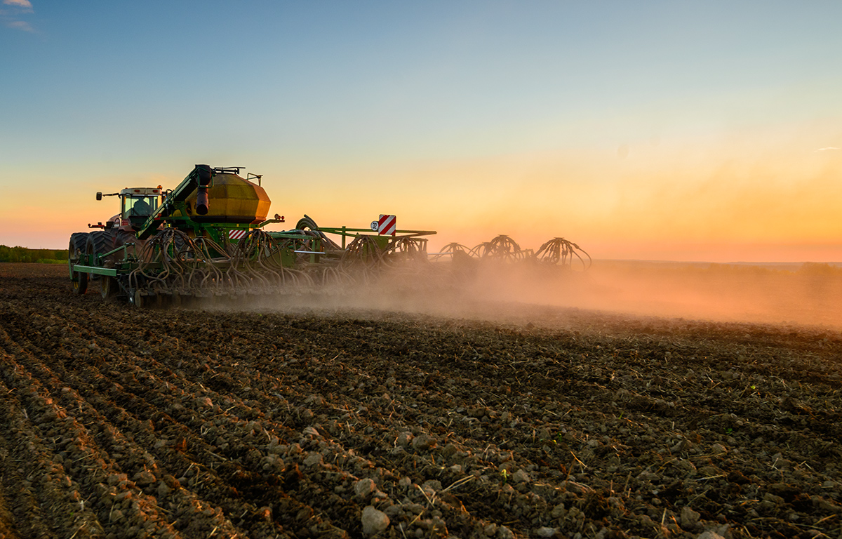 Посевная... (3)