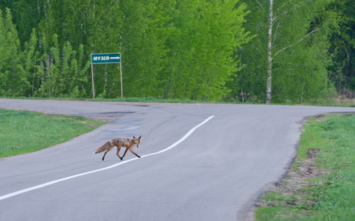 По музеям и выставочным залам