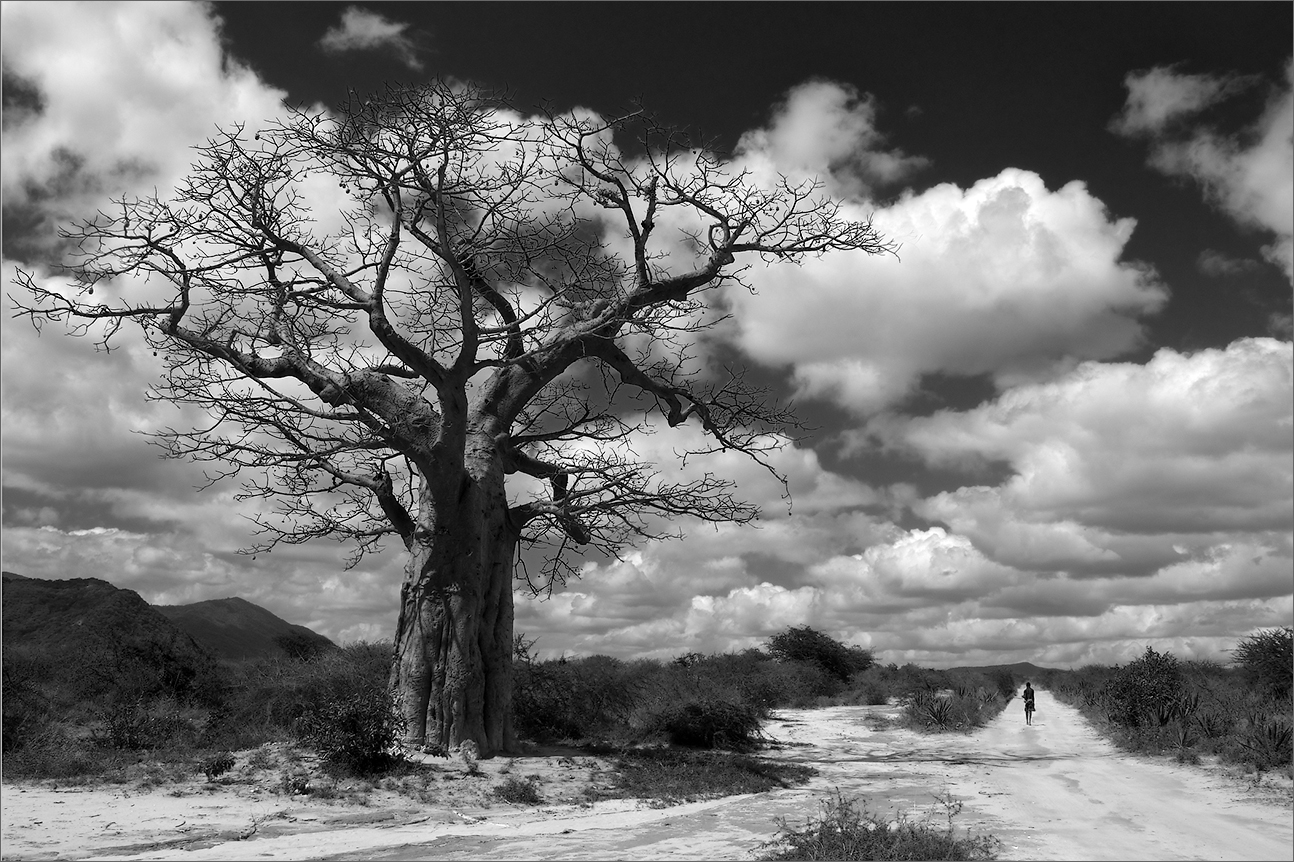 Африканский мотив