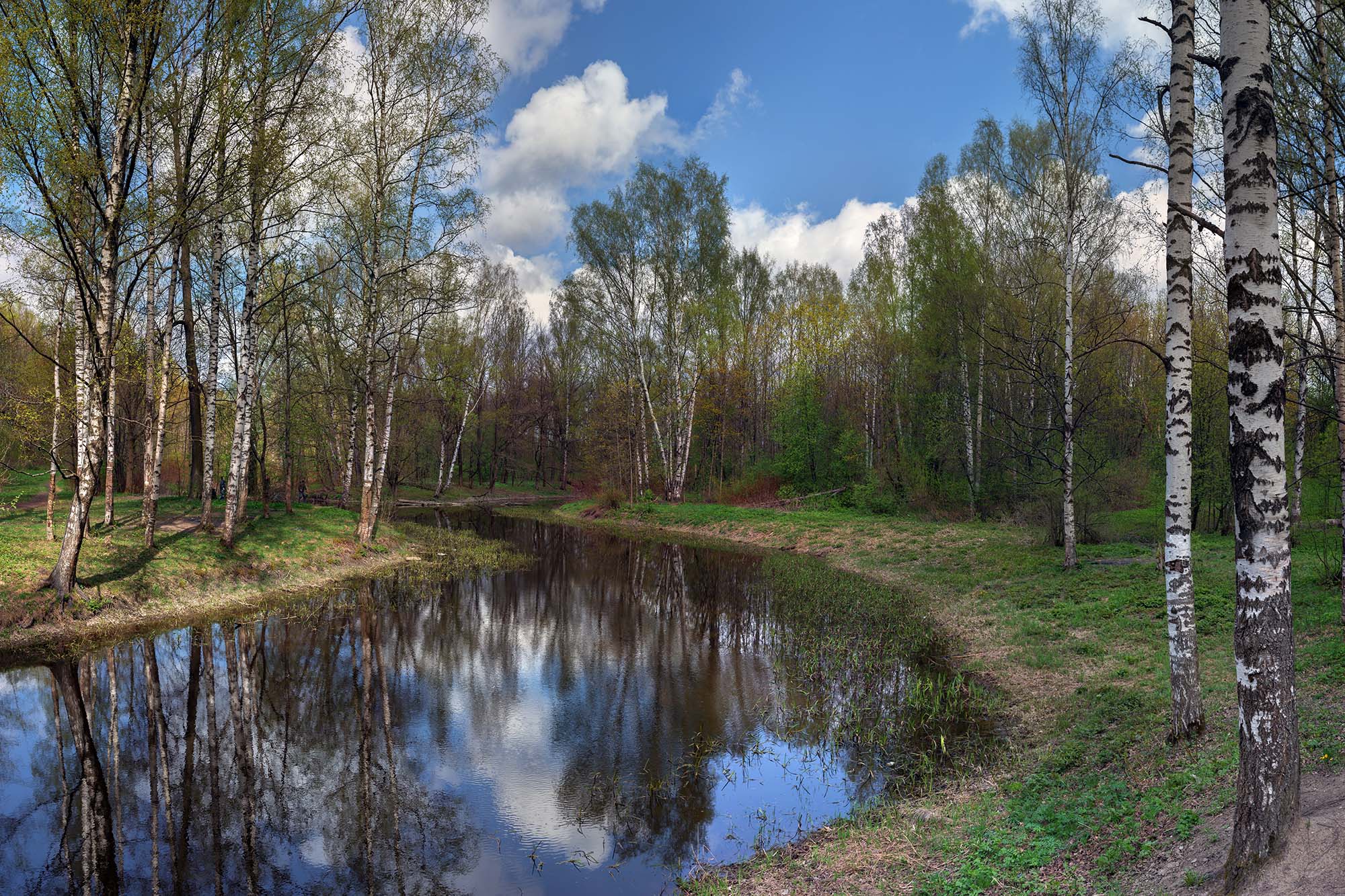 Весна в парке...