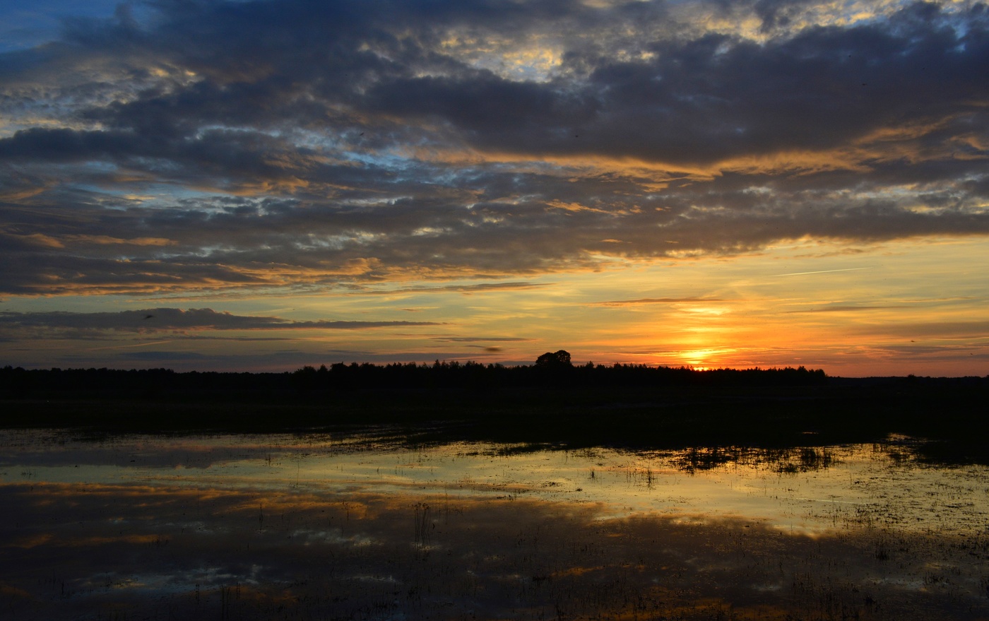 Рождение ночи