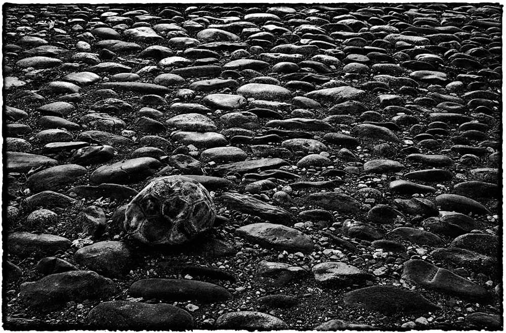 Друг детства...