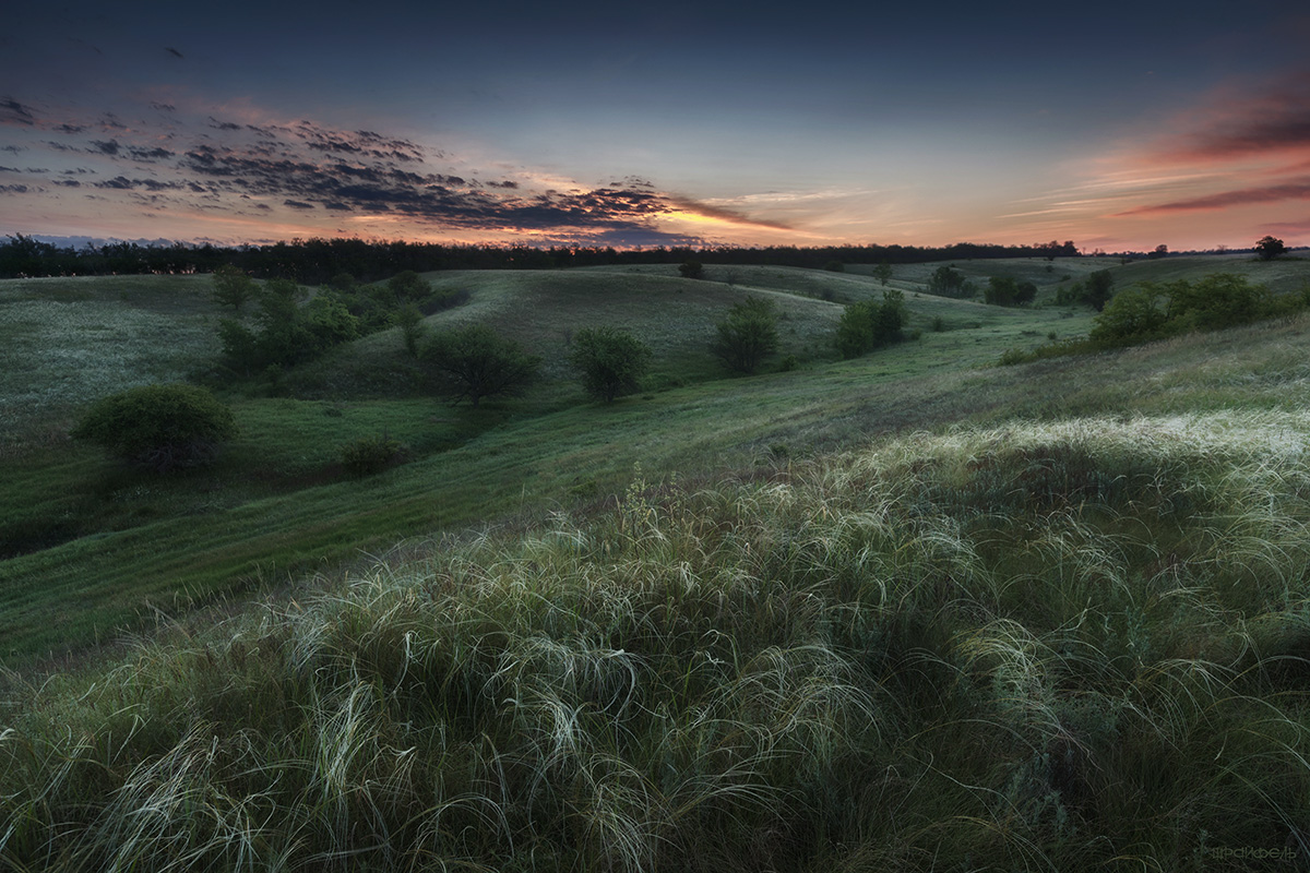 Ковыльная пора