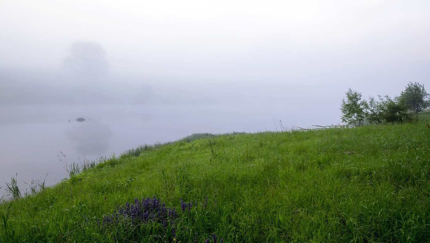 Весенние миражи