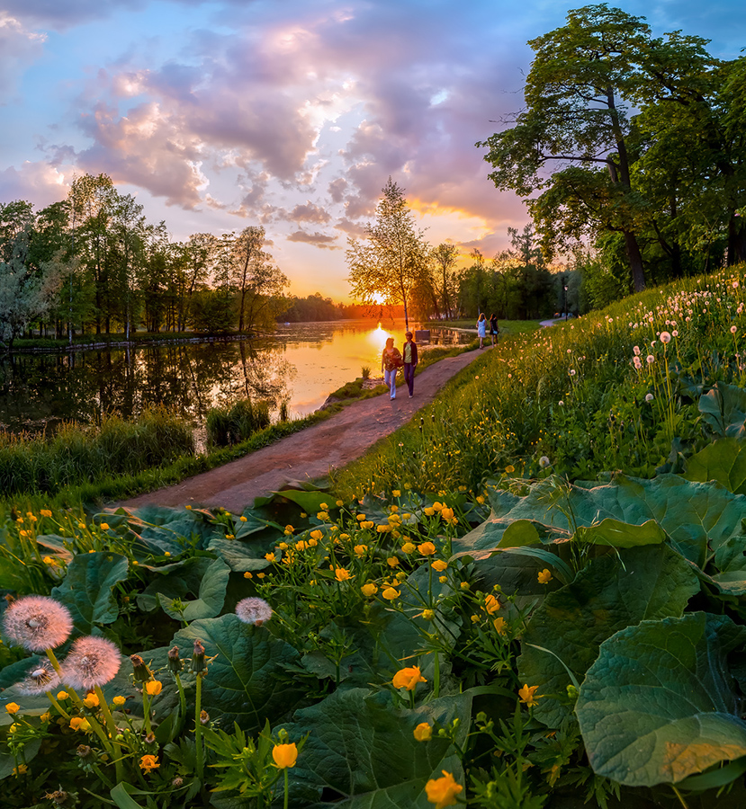 Весенние прогулки по дорожкам парка