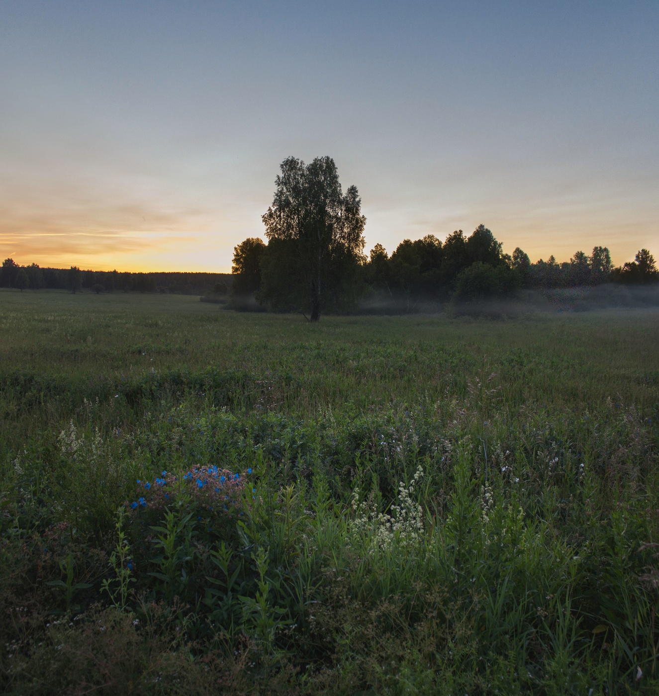 Тёплый июльский вечер