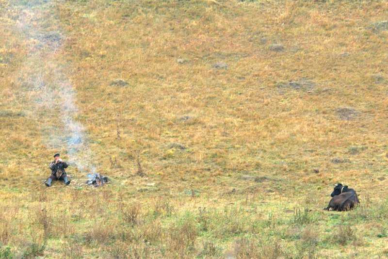 Трудовые будни