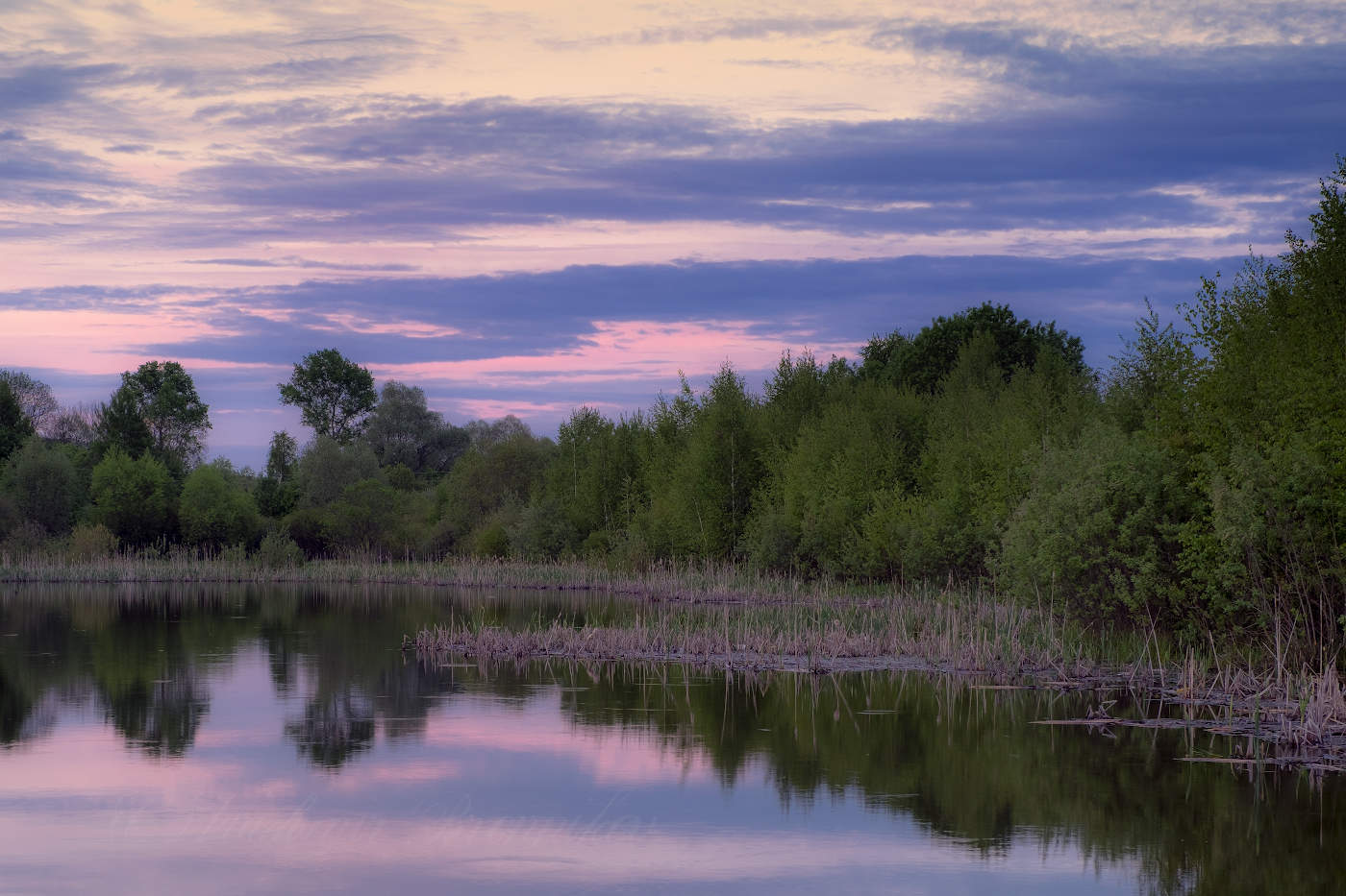 Поздним вечером на пруду