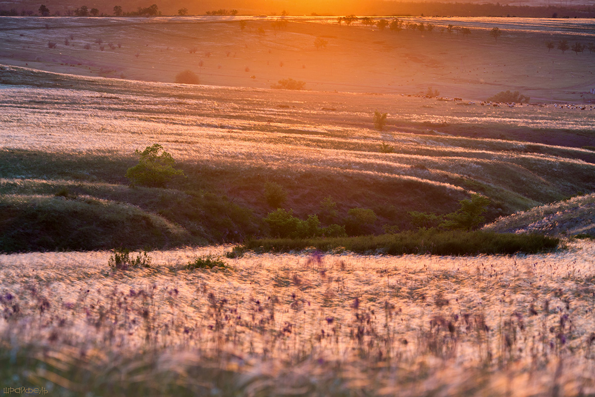 Залитая светом вечерним