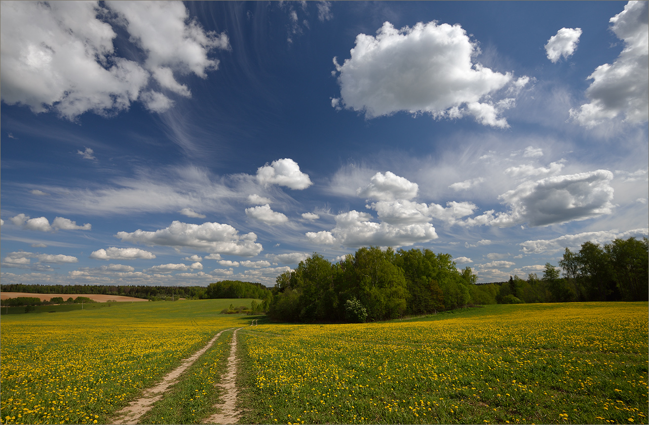 Майская пора