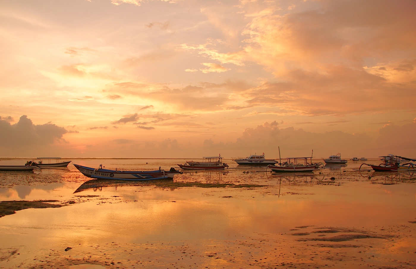 Нежное утро...