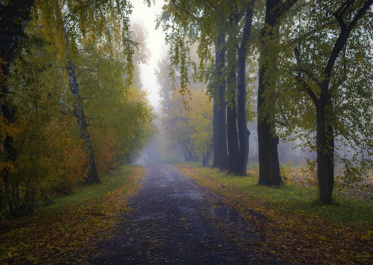 По мотивм осени.