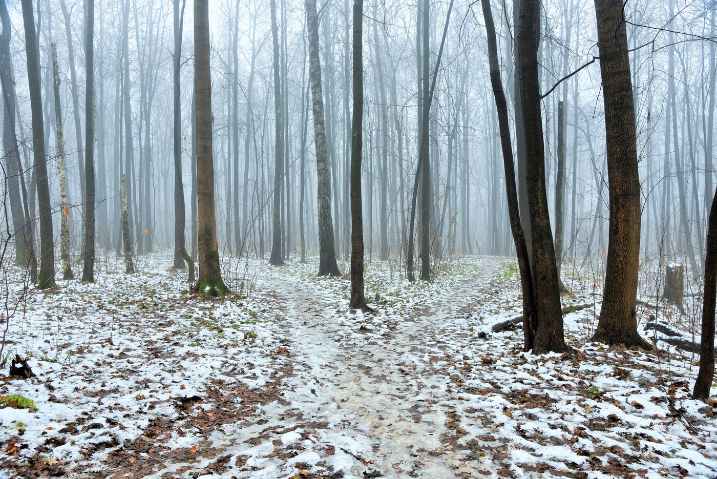 "Дни поздней осени ..."