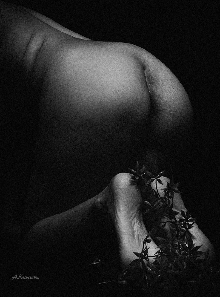 Художественные части человеческого тела. Artistic parts of the human body.