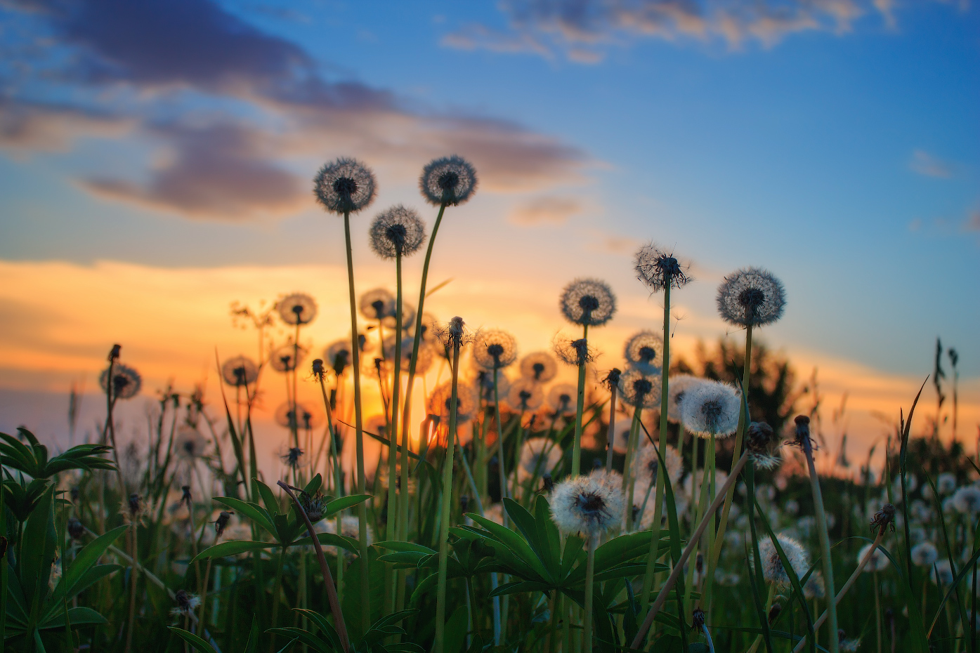 Воздушный десант