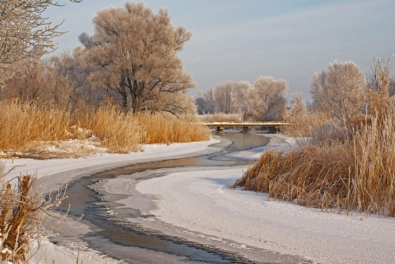 Немного зимы