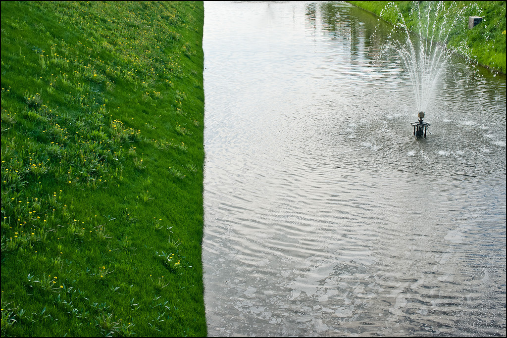 майский зеленый