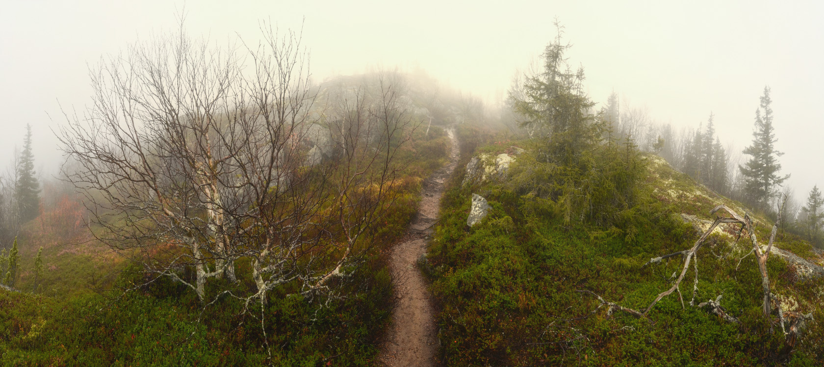 Туманы Киваккатунтури