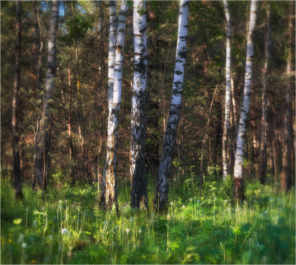 Весенний этюд