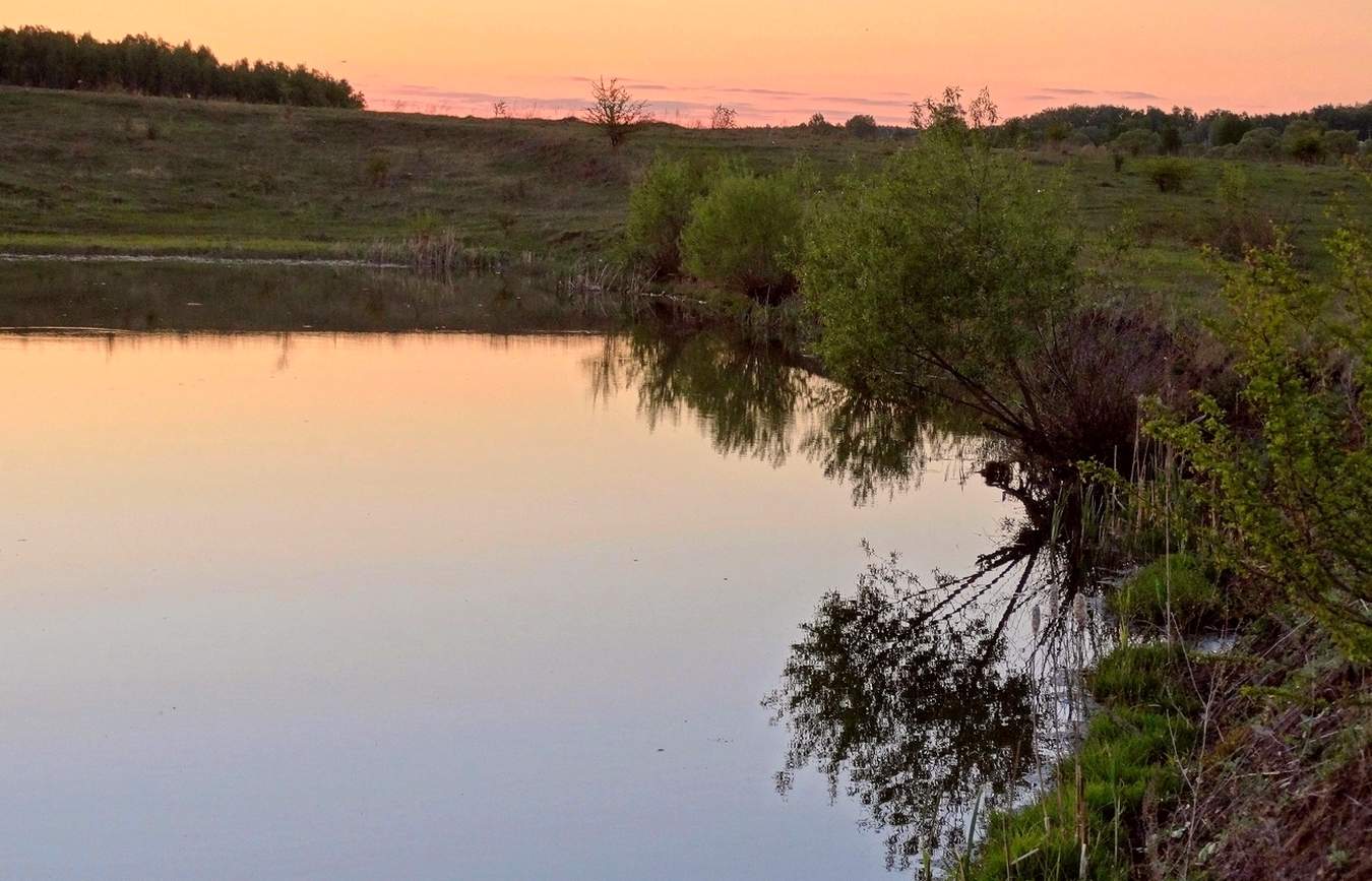 Тишь, да гладь и пение соловьев