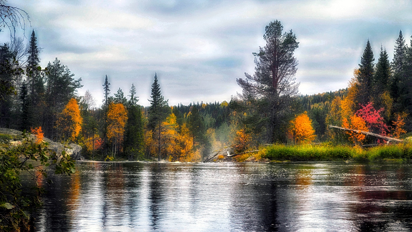 Осень осень......