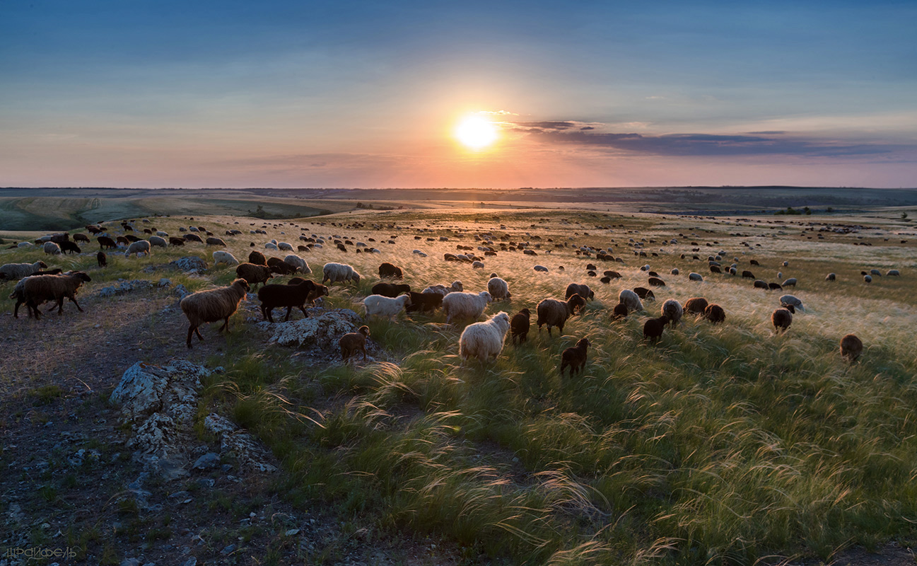 бескОВЕЧНОСТЬ