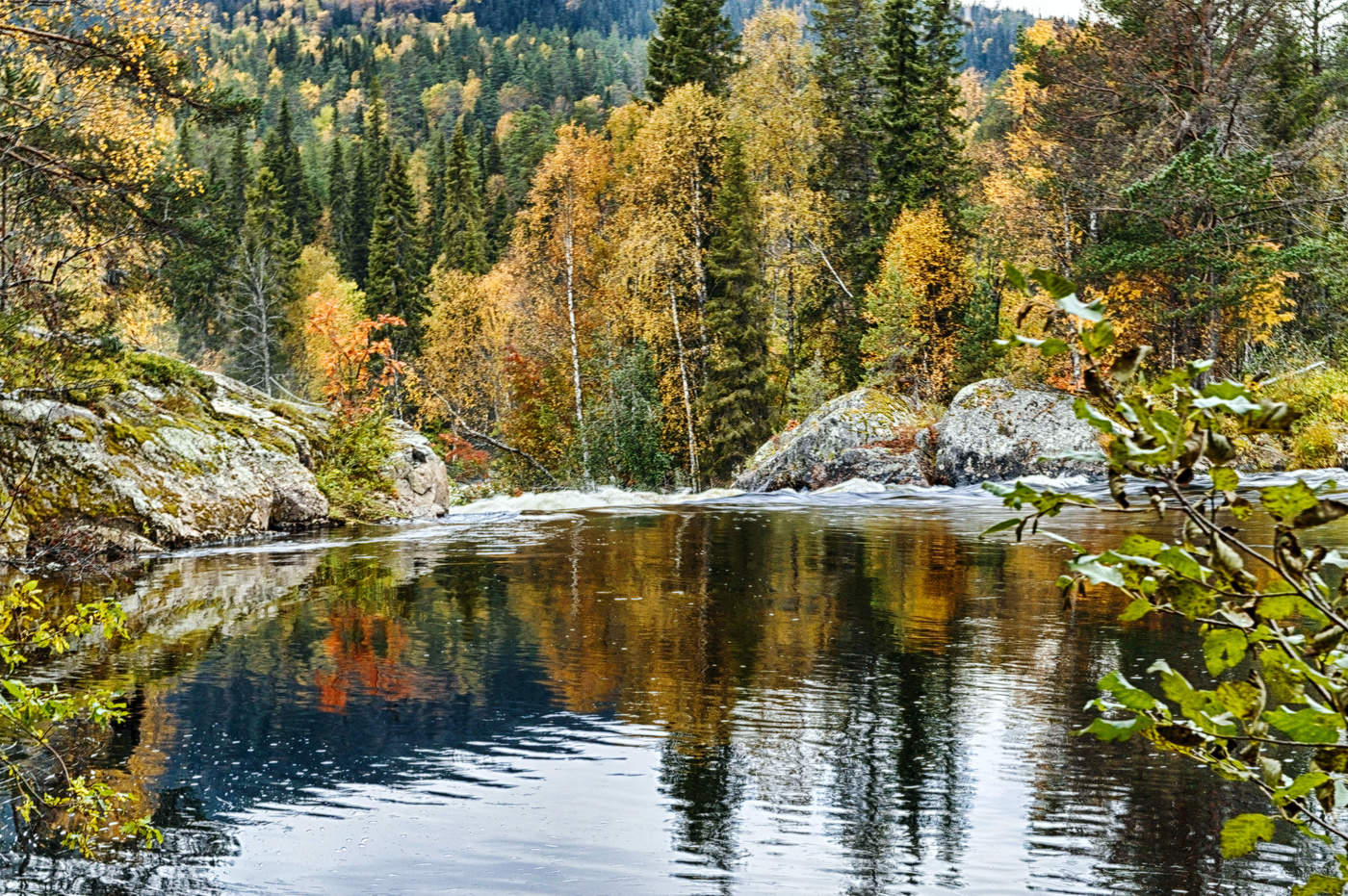 Свет мой зеркальце, скажи.......
