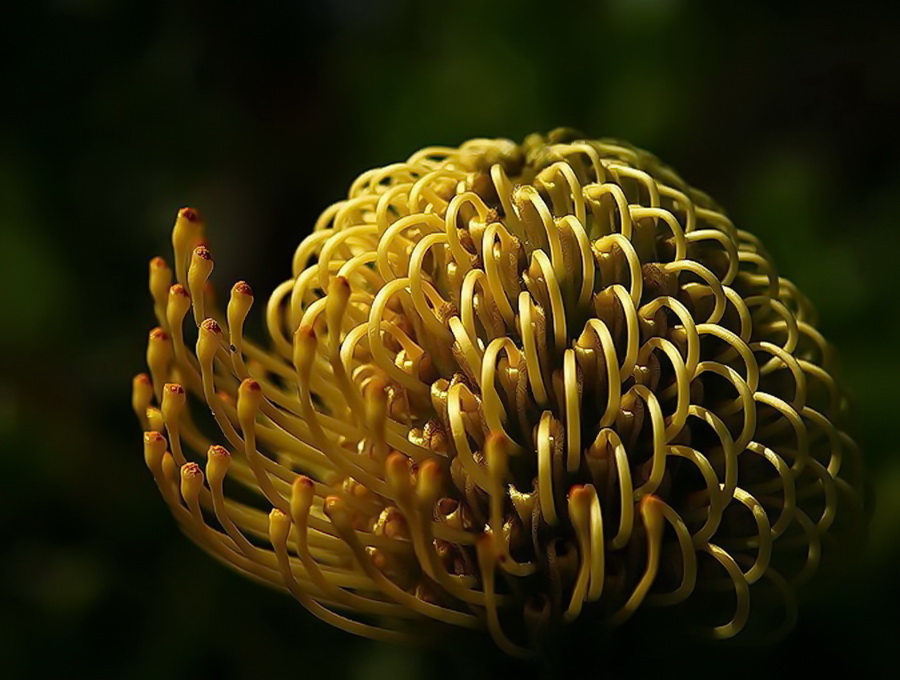 Взрыв на макаронной фабрике