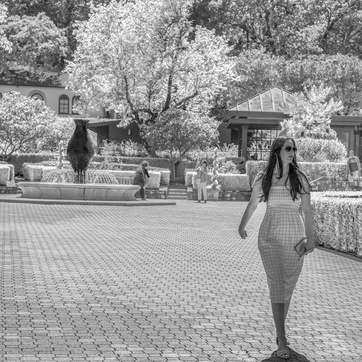 Без названия