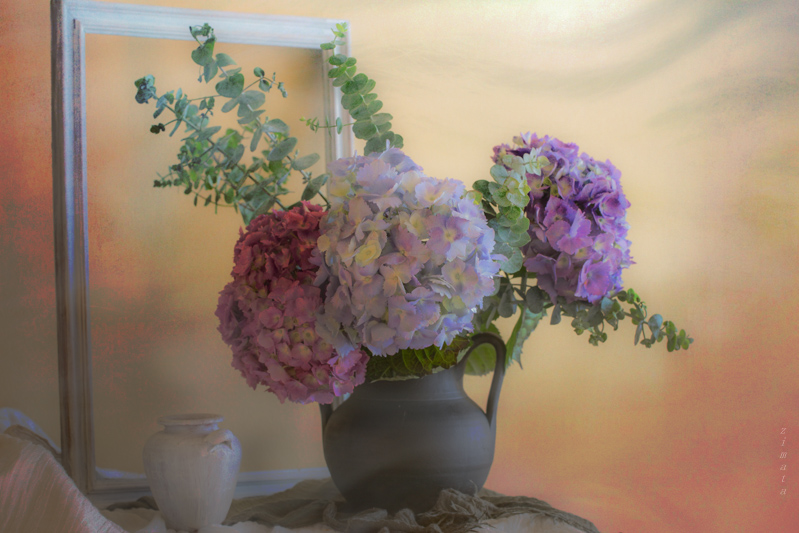 натюрморт с гортензией