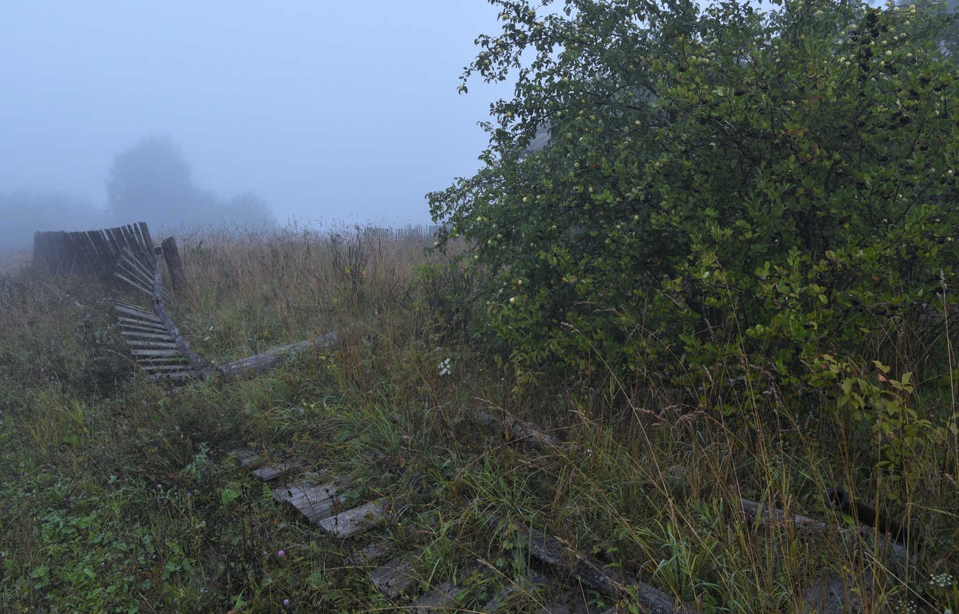 Что было, то было - травой поросло...
