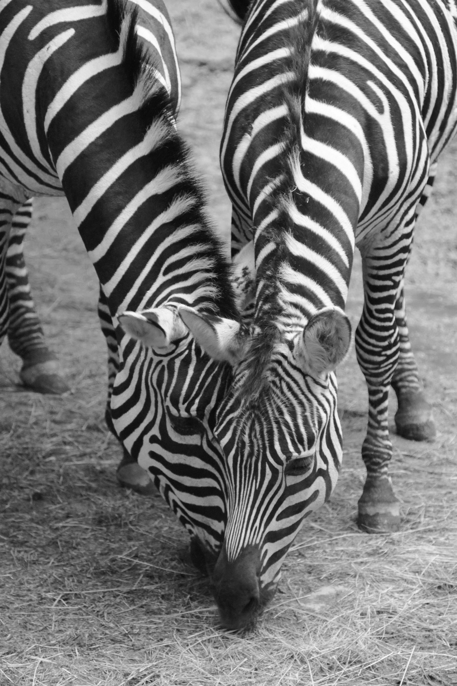 Двойной не виски