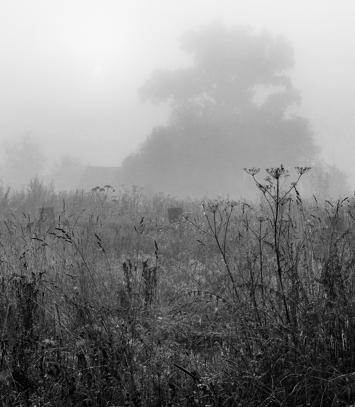 Каким он будет, предстоящий день?