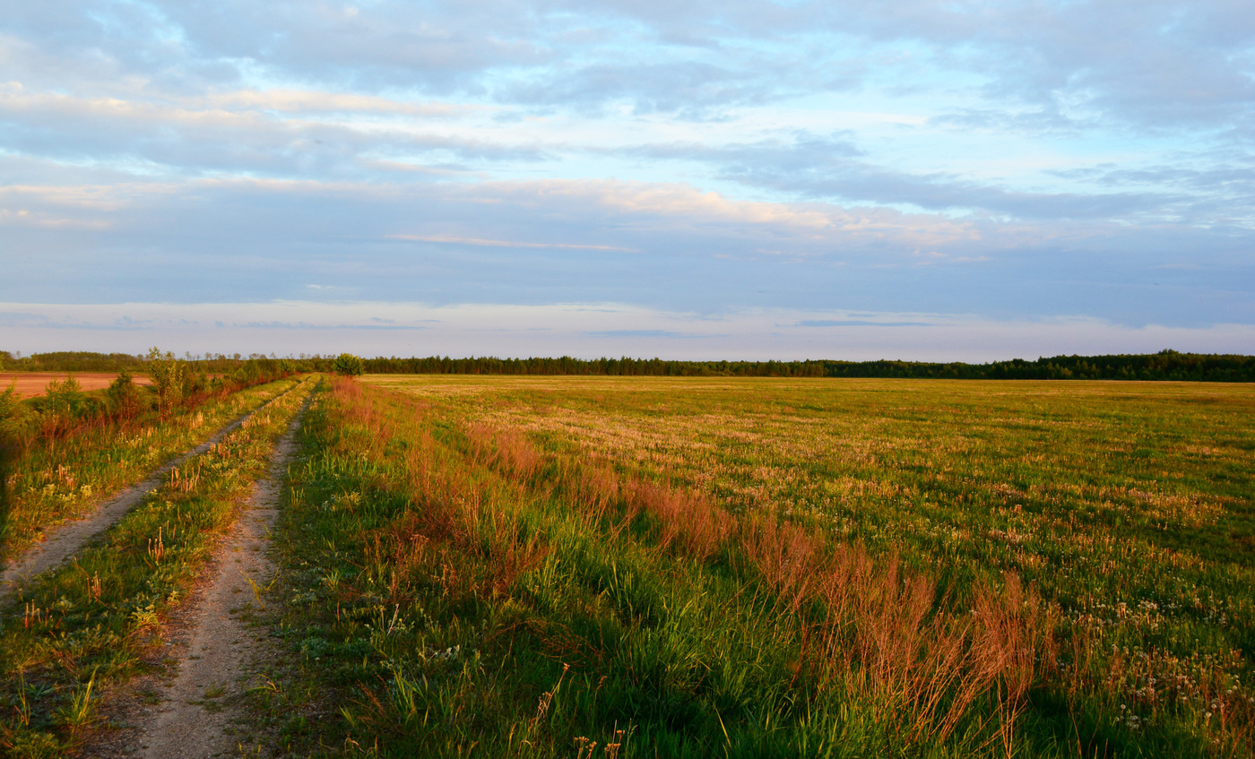 Полевые просторы