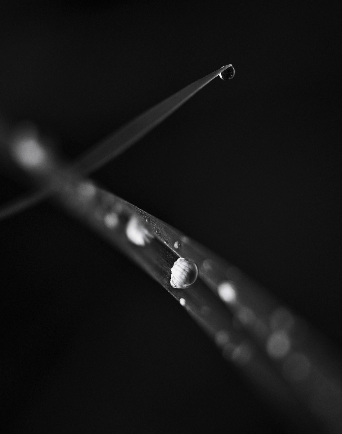 Проплакал летний дождь ...