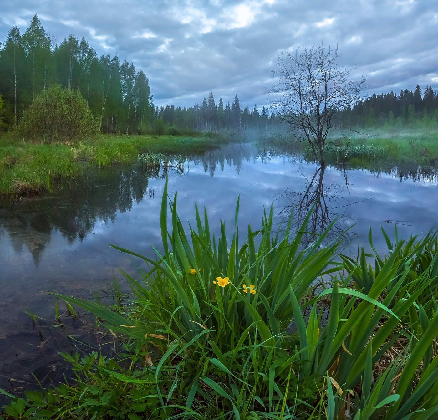 Магия весны