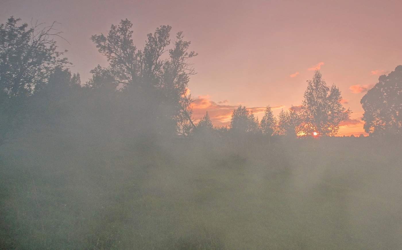 Перед заходом солнца опустился туман