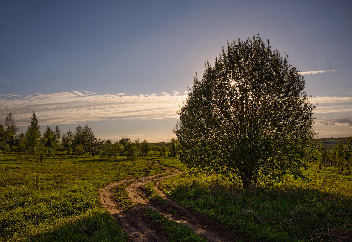 Вечная тема