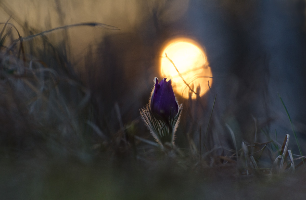 Таинство вечера