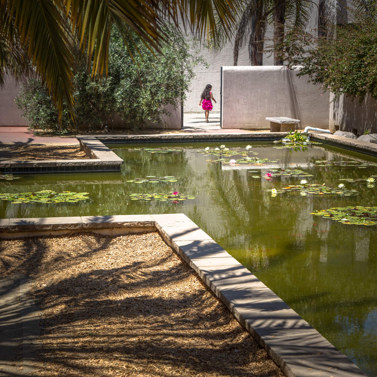 Без названия