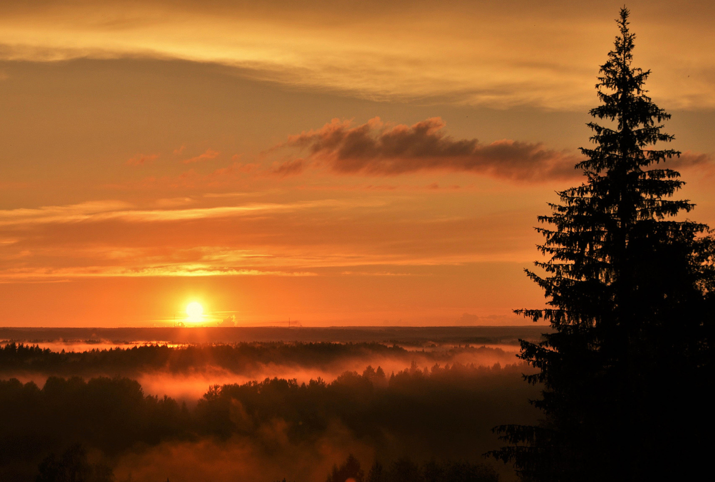 Вечером, после дождя ...