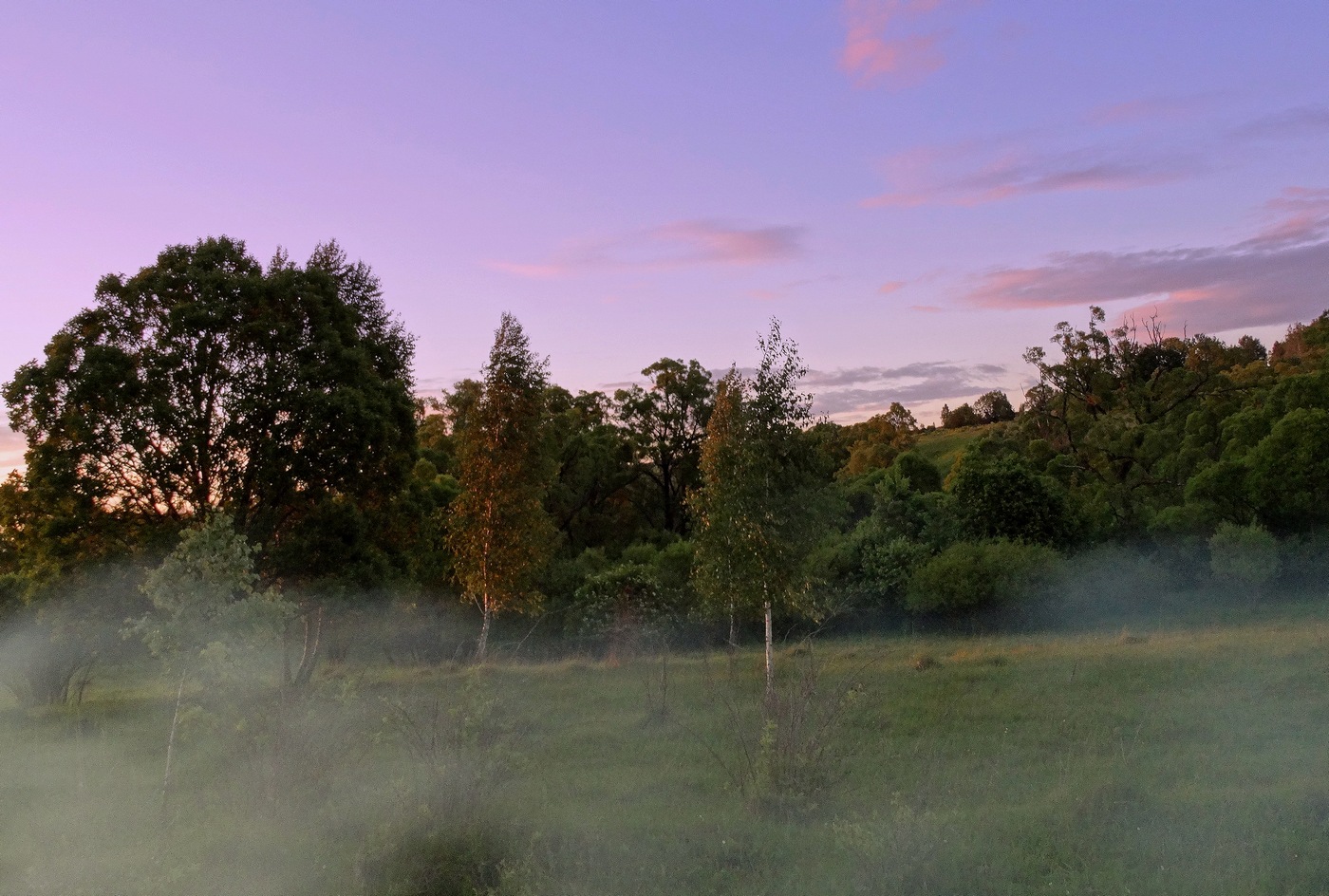 Вечерний туман