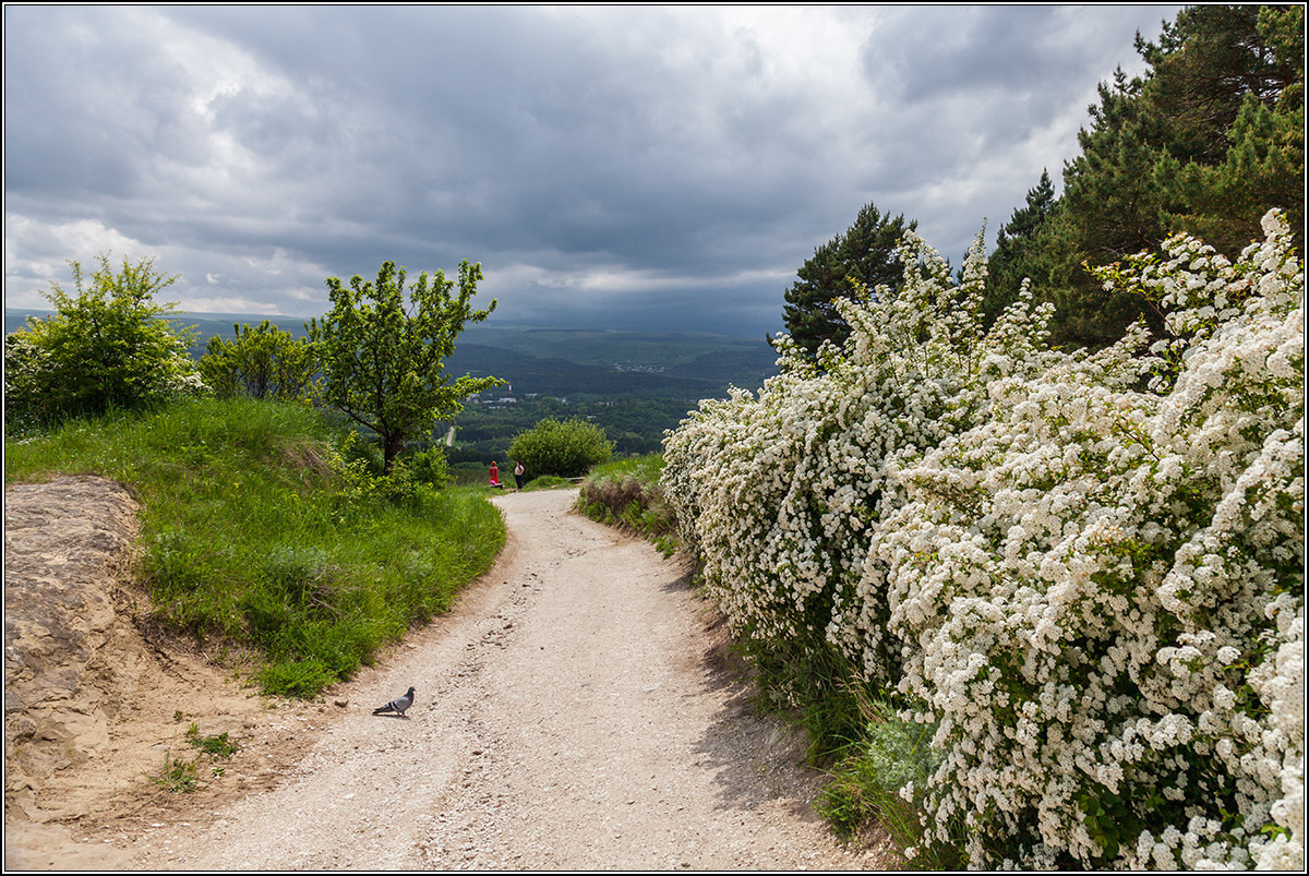 В горах под Кисловодском.