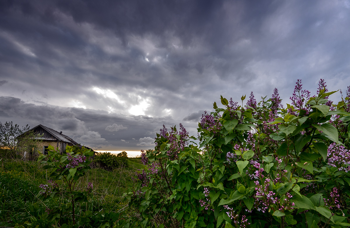 Забытая деревня...