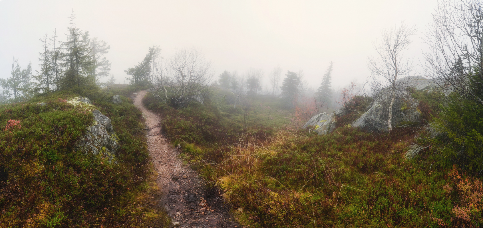 На тропах Кивакки