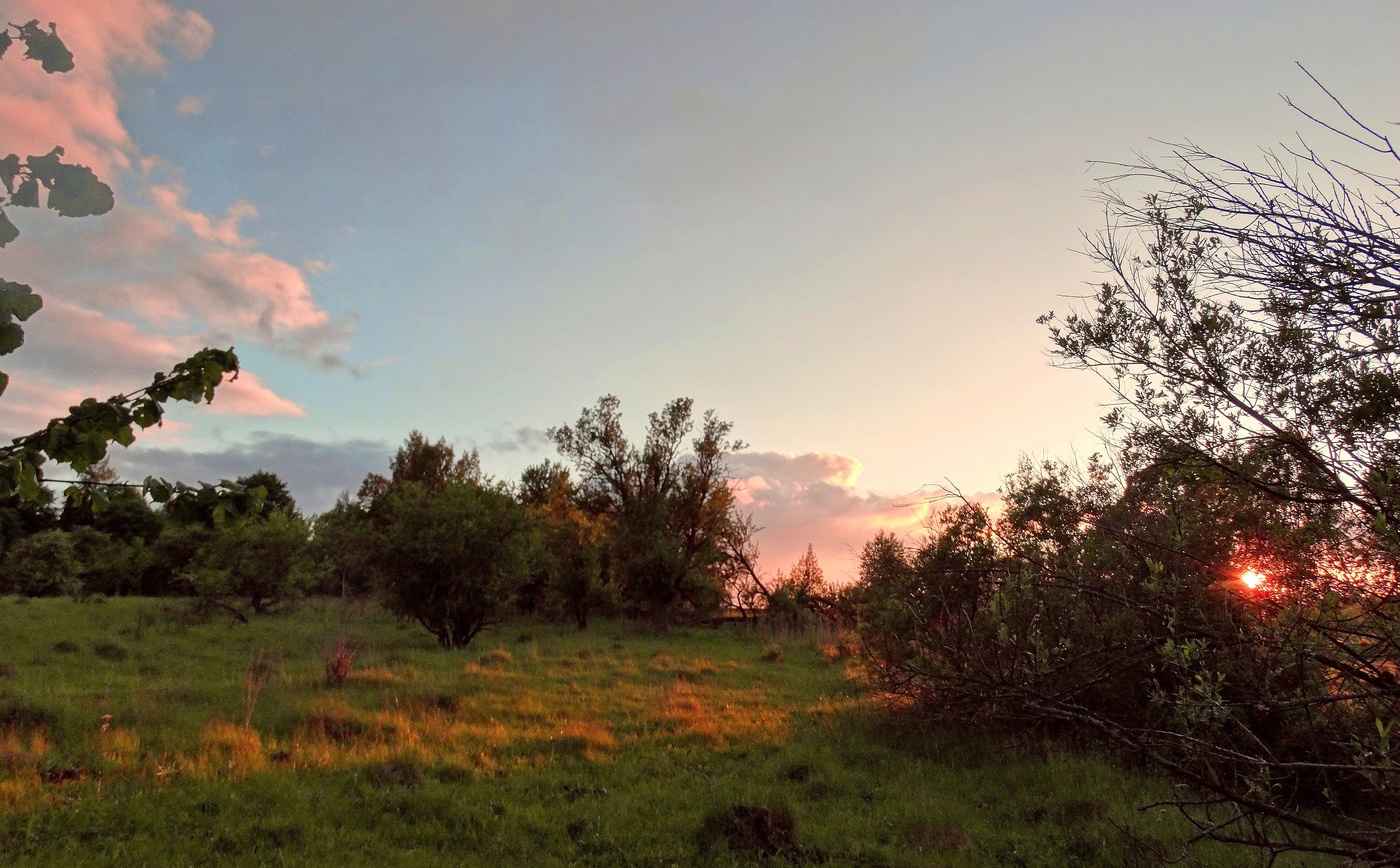 Вечерние краски лета