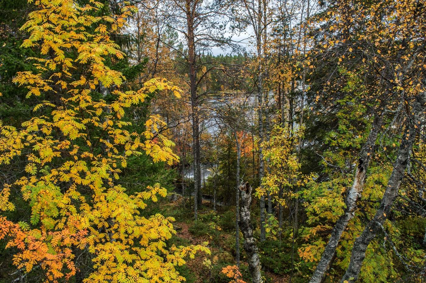 У берега реки.