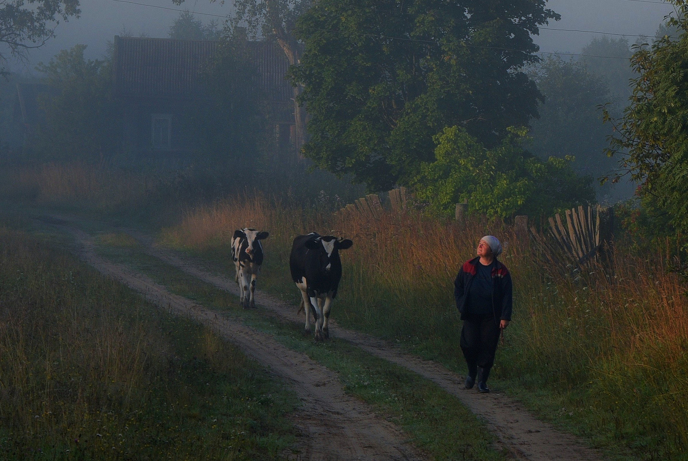 Вот и солнышко взошло ...