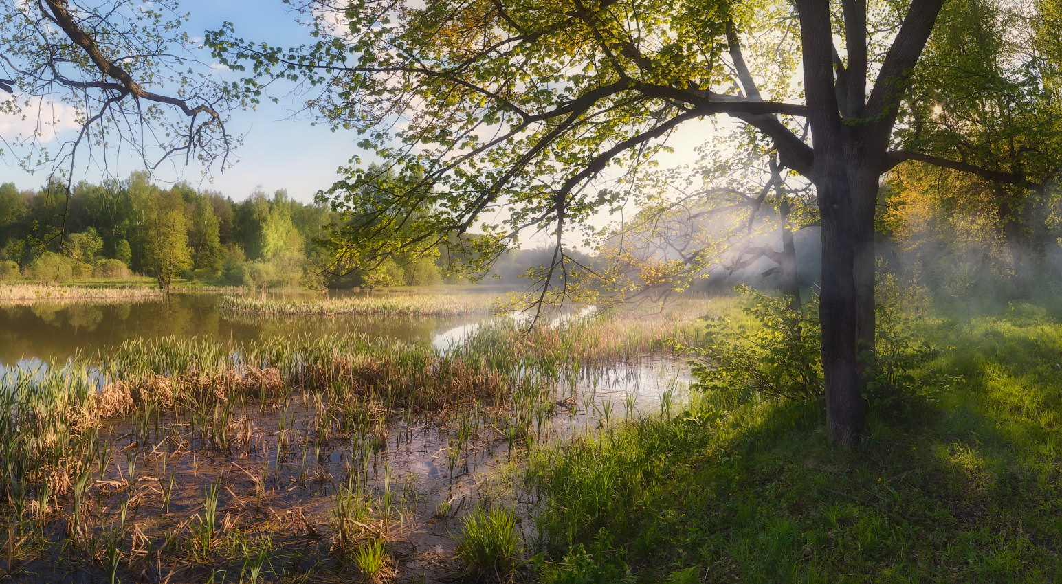 Майским вечером