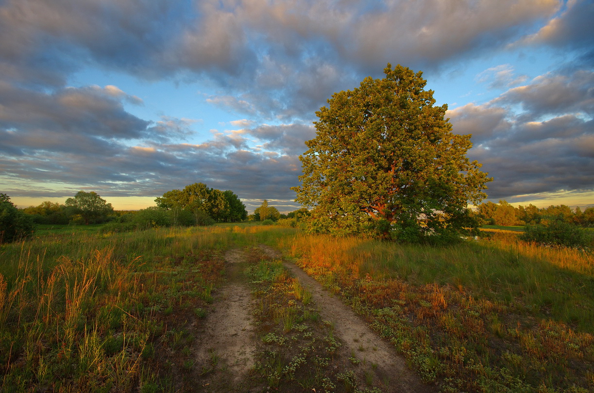 Начиналось лето